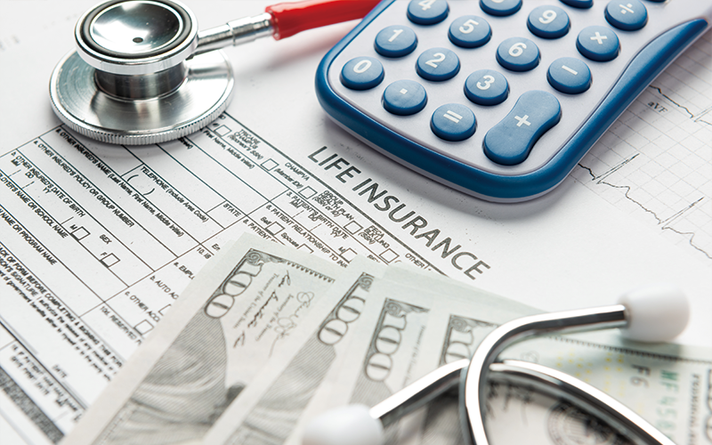 CHUB 치과보험 보장 내용